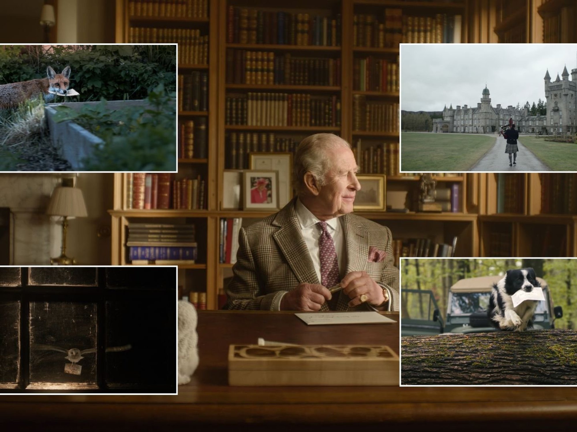 King Charles enlists help from animals to deliver David Attenborough his 100th birthday card
