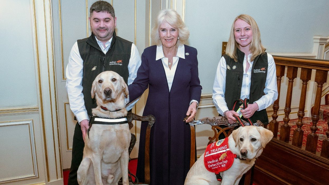 Queen Camilla to host special event to celebrate Medical Detection Dogs