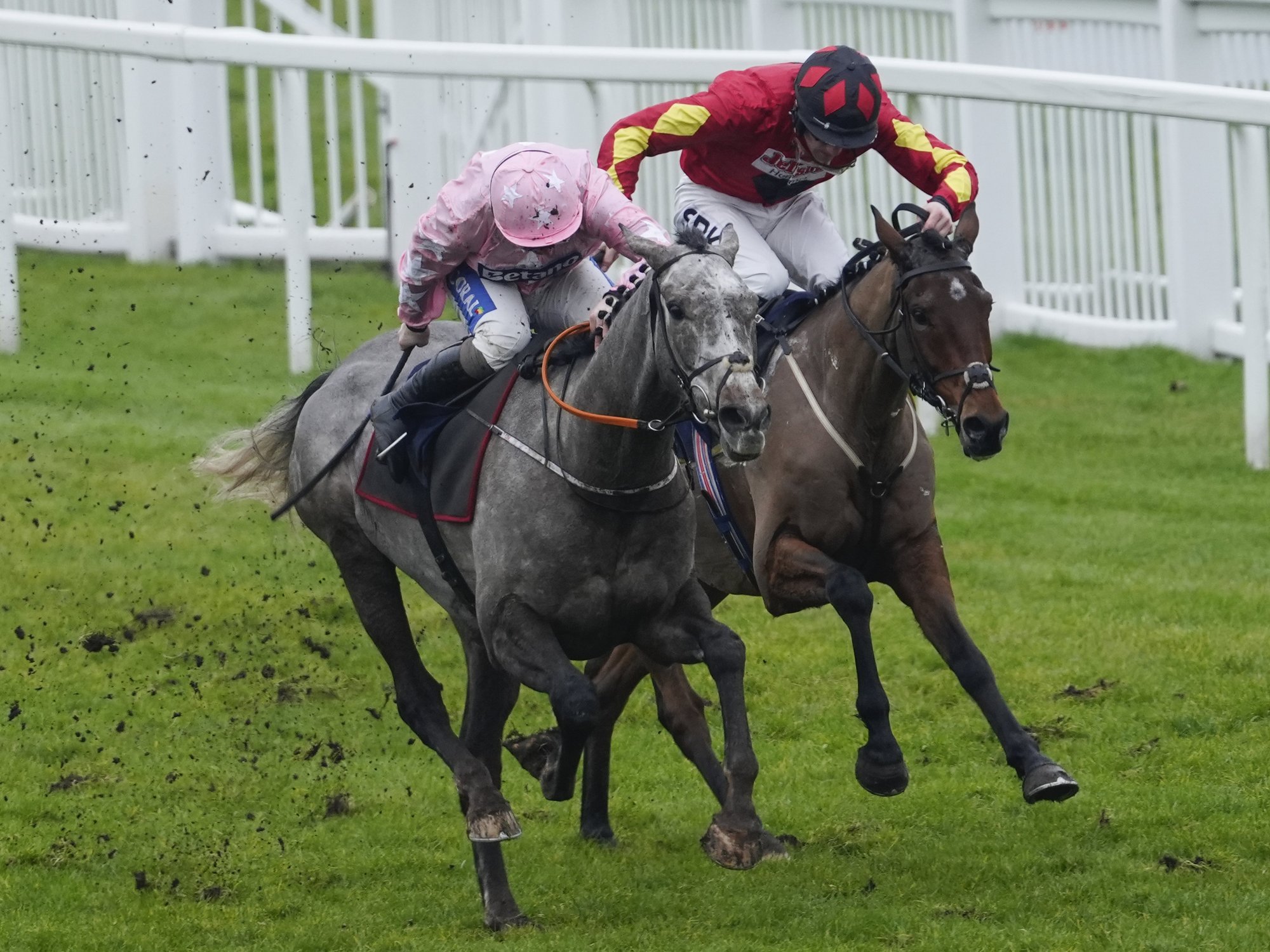 Royal Windsor Horse Show tragedy as service person dies after falling from horse