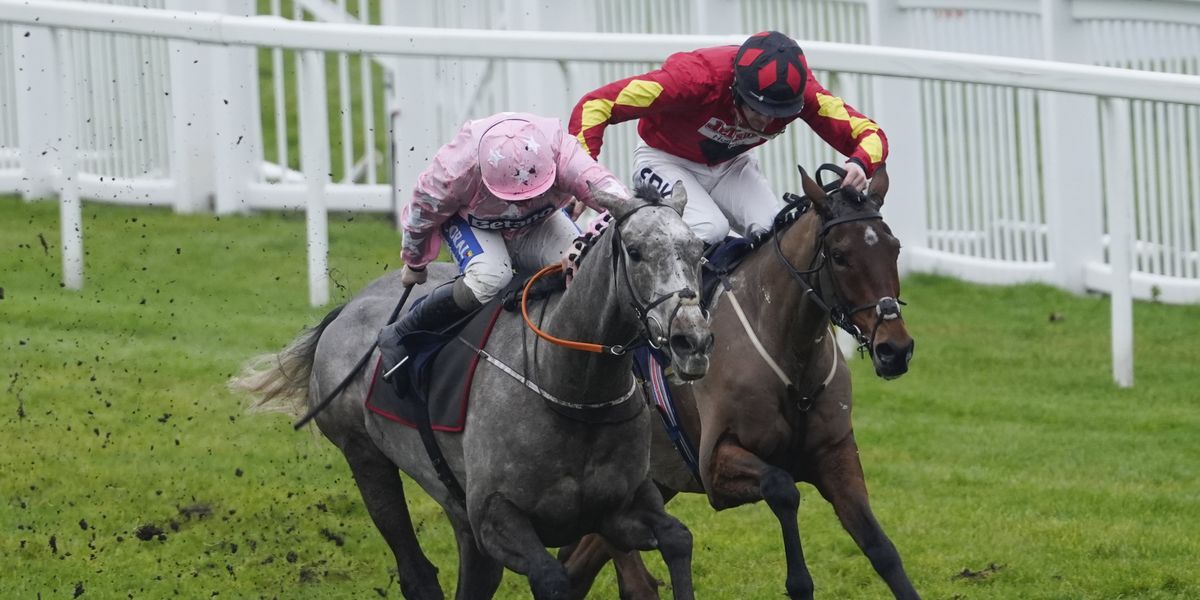 Royal Windsor Horse Show tragedy as service person dies after falling from horse Royal Windsor Horse Show tragedy as service person dies after falling from horse