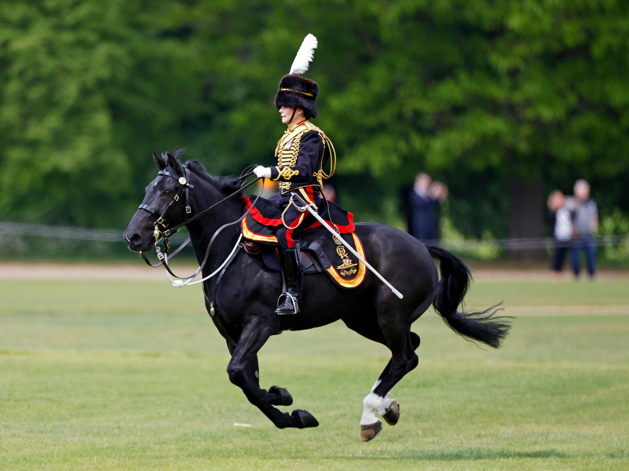Royal Windsor Horse Show tragedy as service person dies after falling from horse