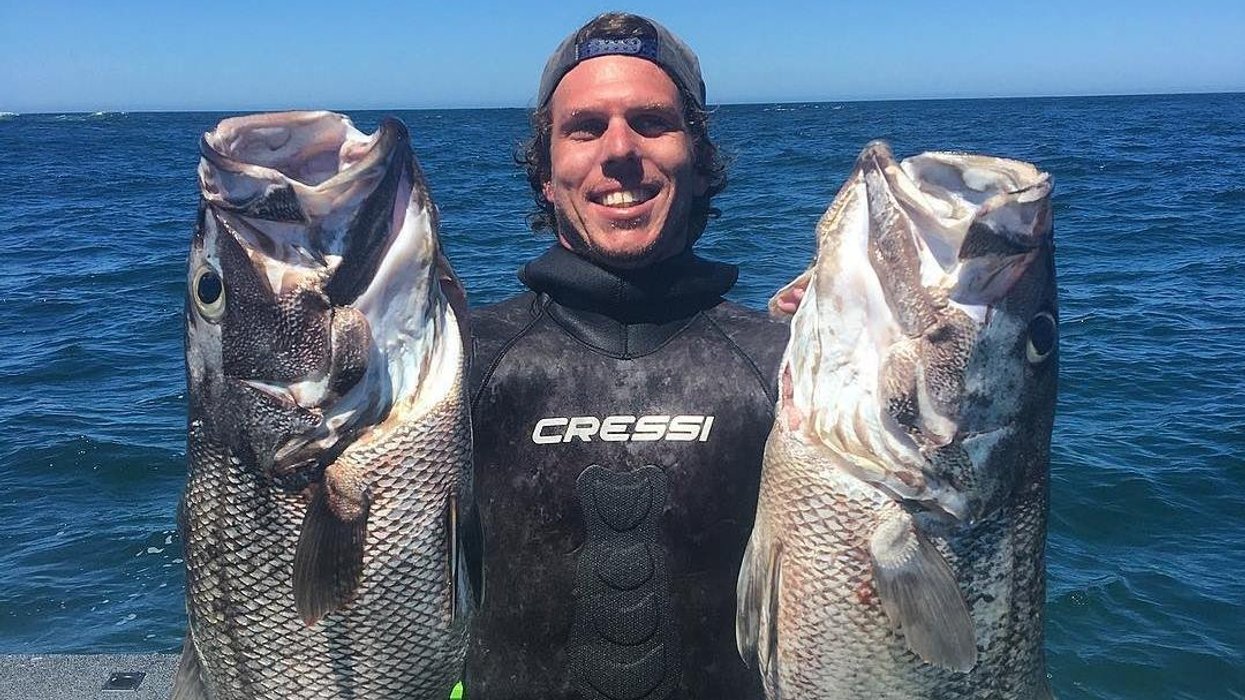 Tributes pour in for father-of-two killed in horror shark attack at popular Australian holiday hotspot