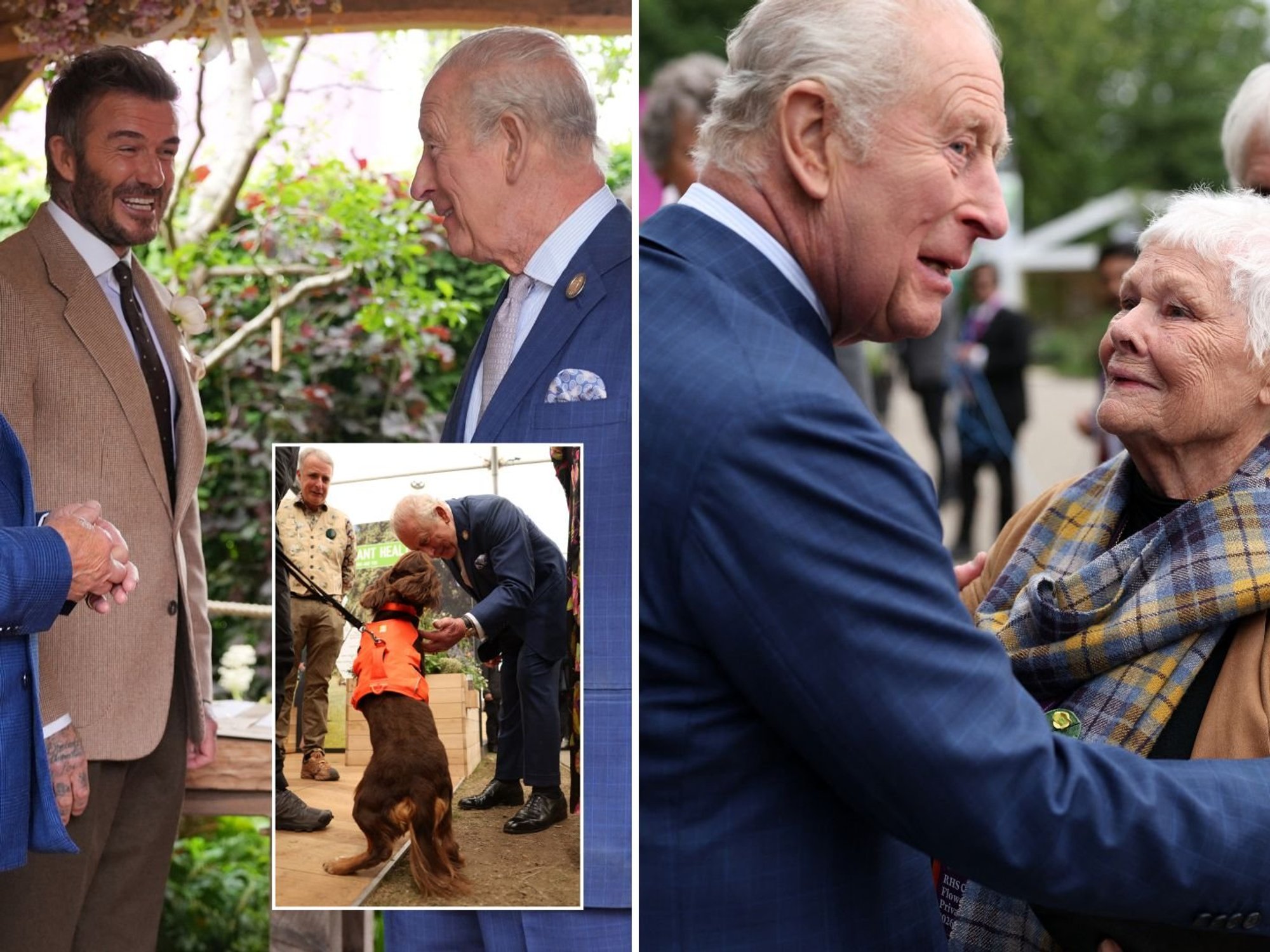 King Charles greets Judi Dench and Sir David Beckham as surprise guest steals Chelsea Flower Show