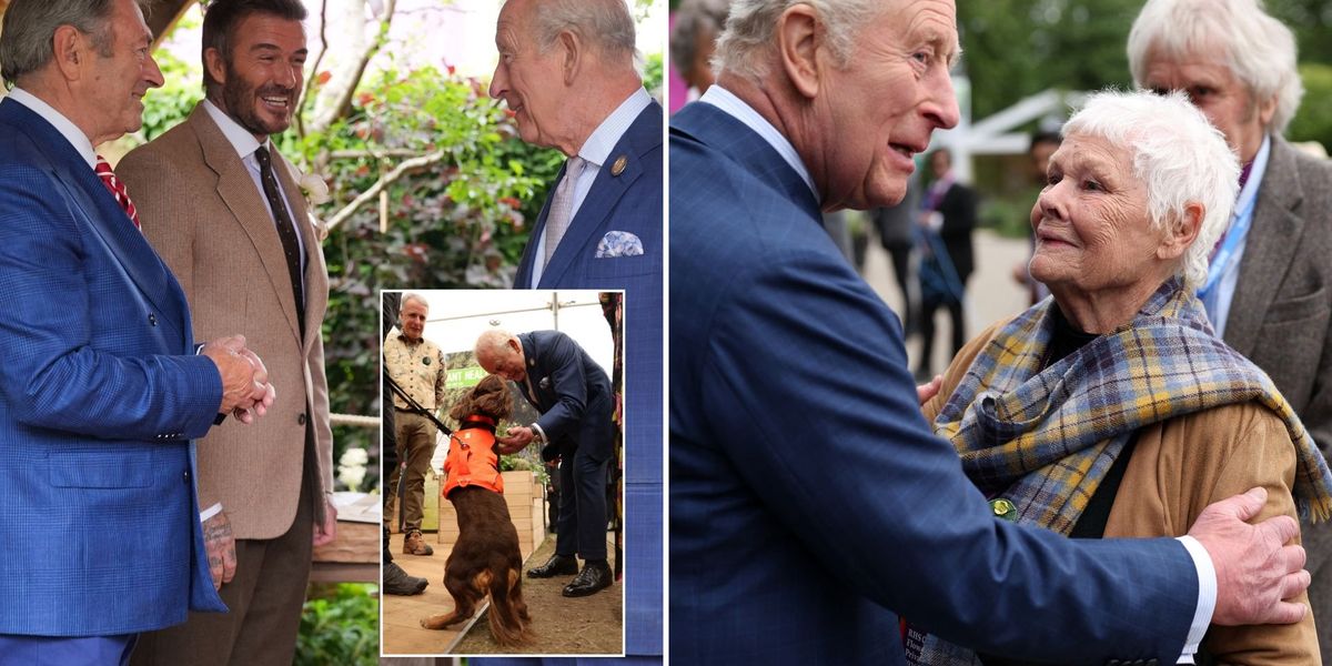 King Charles greets Judi Dench and Sir David Beckham as surprise guest steals the show in Chelsea King Charles greets Judi Dench and Sir David Beckham as surprise guest steals the show in Chelsea