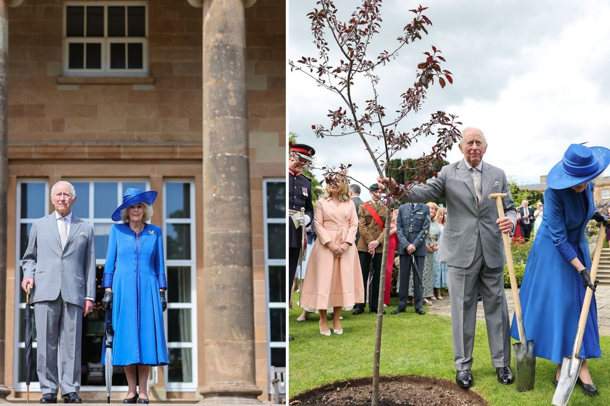 King Charles and Queen Camilla plant royal tree at Northern Ireland garden party