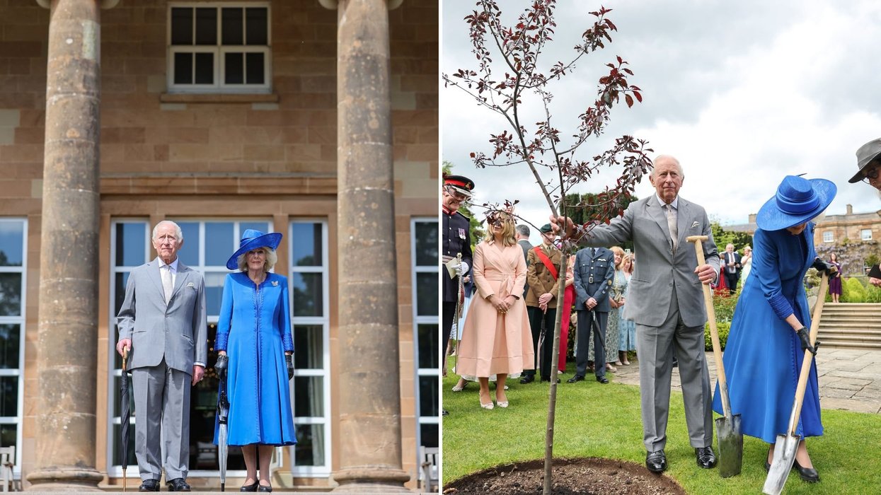 King Charles and Queen Camilla plant royal tree at Northern Ireland garden party