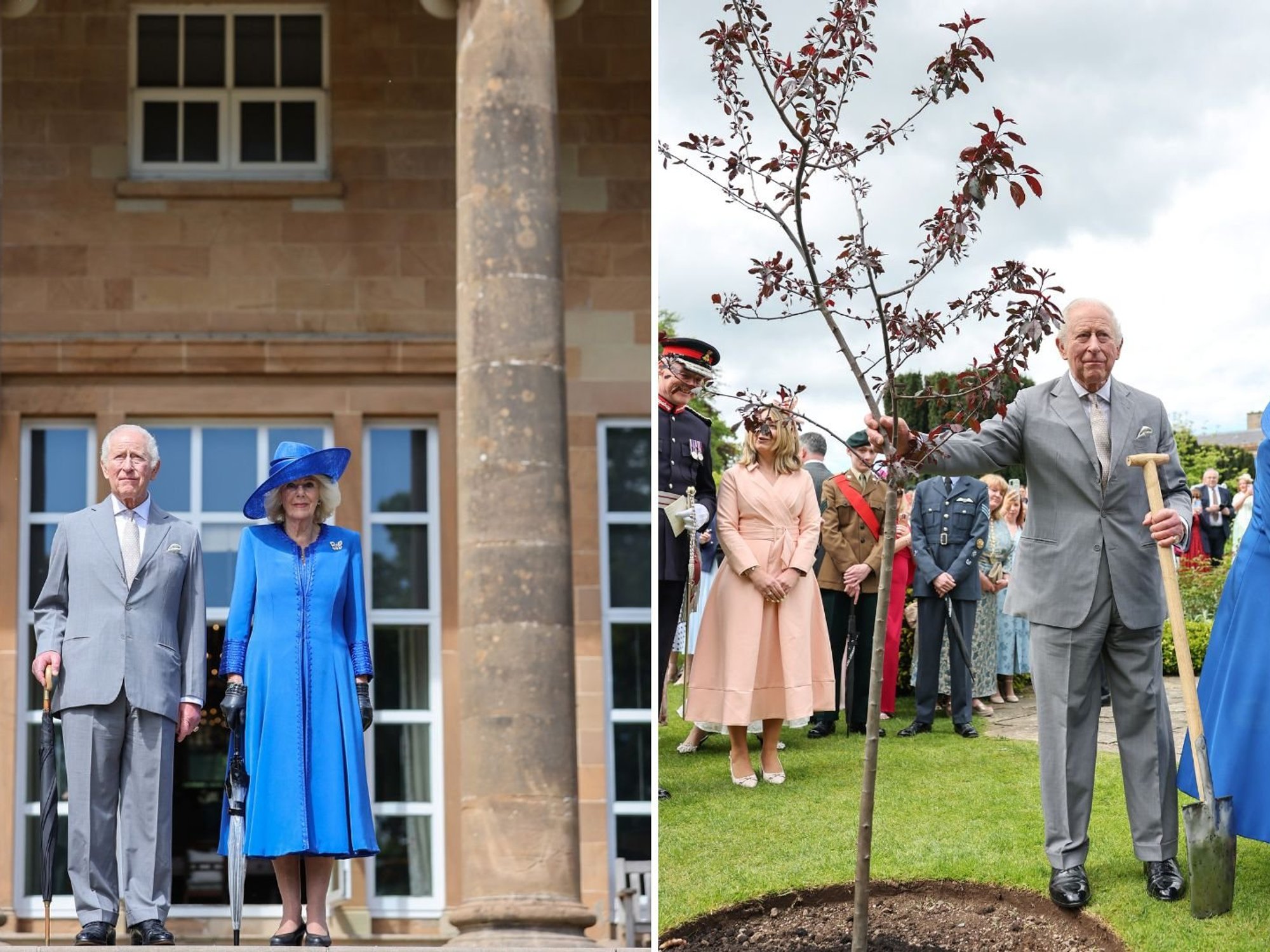 King Charles and Queen Camilla plant royal tree at Northern Ireland garden party