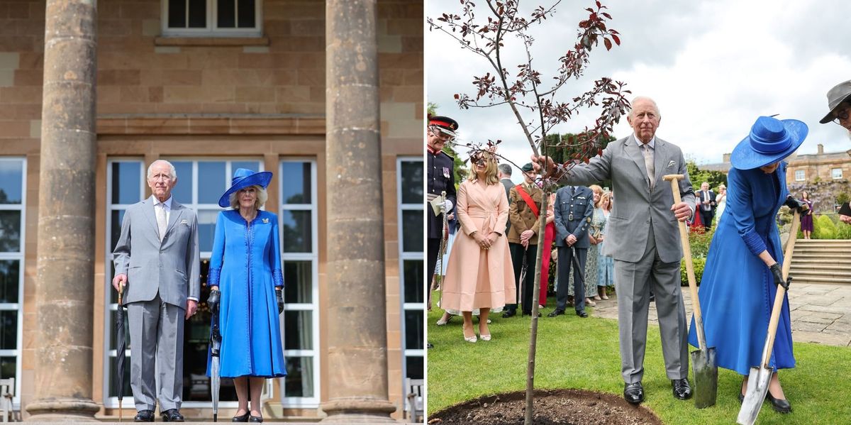 King Charles and Queen Camilla plant royal tree at Northern Ireland garden party King Charles and Queen Camilla plant royal tree at Northern Ireland garden party
