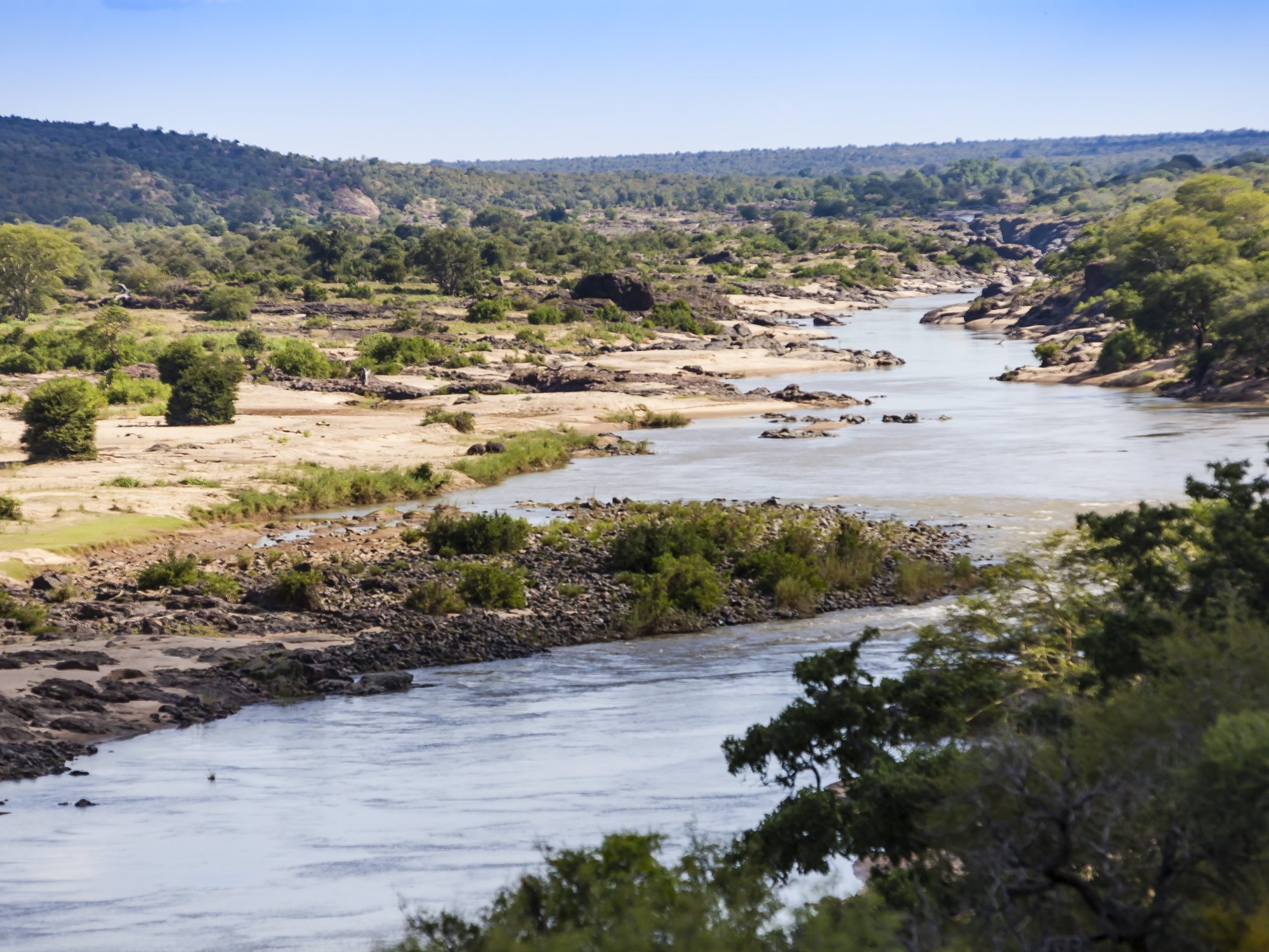 Murder probe launched after two tourists stabbed to death and dumped in river at South African sa...