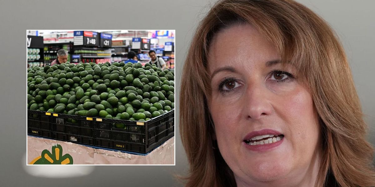Rachel Reeves ‘comically out of touch’ as avocado and quinoa among ‘everyday essentials’ set for tariff cuts Rachel Reeves ‘comically out of touch’ as avocado and quinoa among ‘everyday essentials’ set for tariff cuts