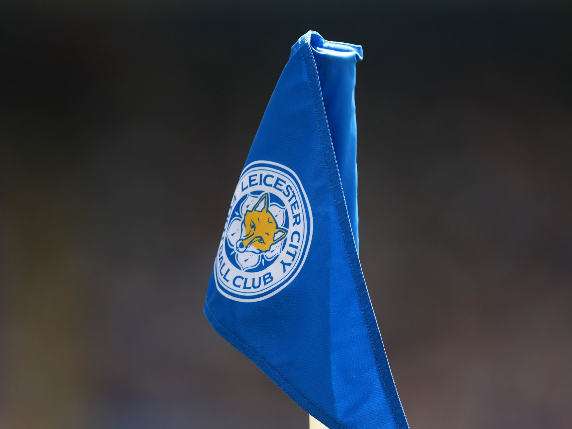 Leicester appoint new manager as under-fire chairman makes first big decision since Championship ...