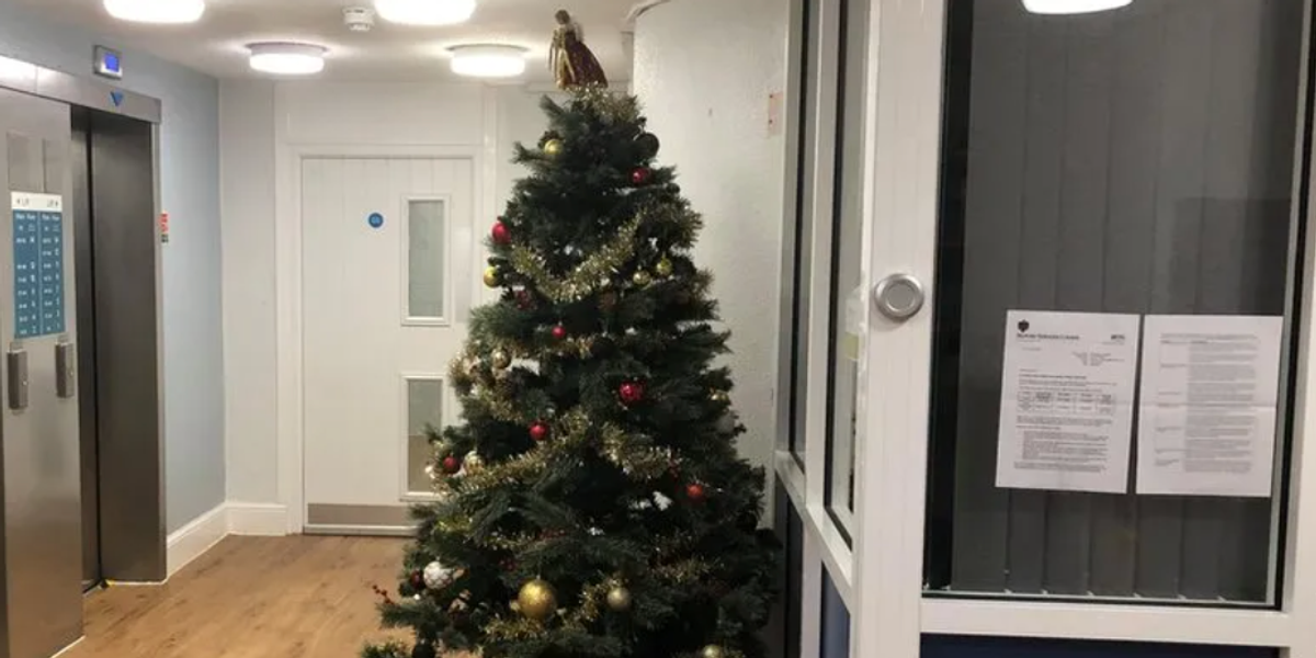 NextImg:Christmas 'spoilt' for locals as tree removed from housing block over health and safety fears