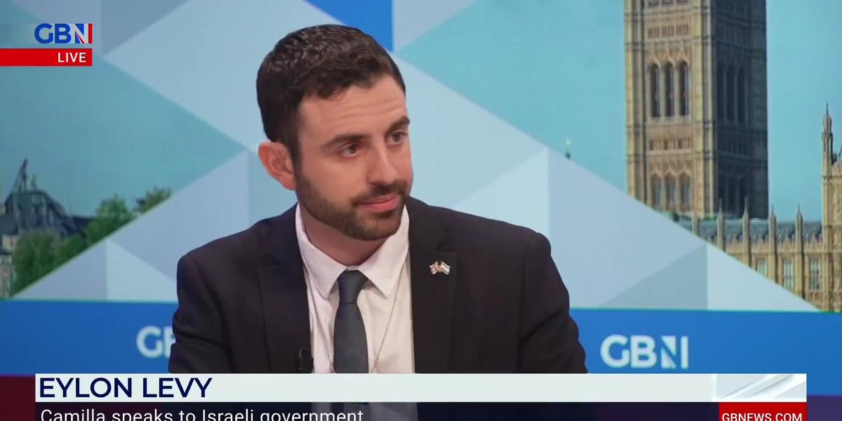 NextImg:‘We're in a fight for our lives now,’ says Israeli government spokesman Eylon Levy