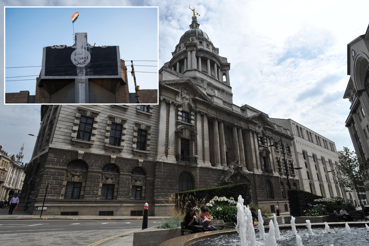 Islamic school teacher 'saw it as her duty' to spread 'jihad' and 'pro-Isis propaganda' among children with cartoon book