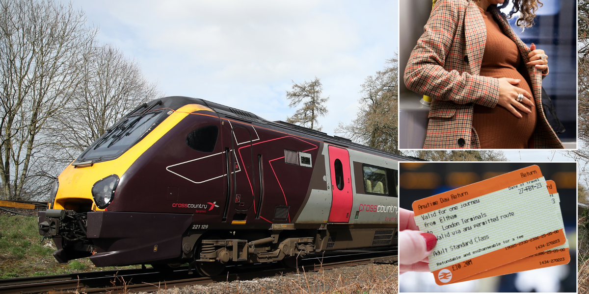 NextImg:Pregnant train passenger forced to sit on FLOOR before being fined £600 after buying online ticket