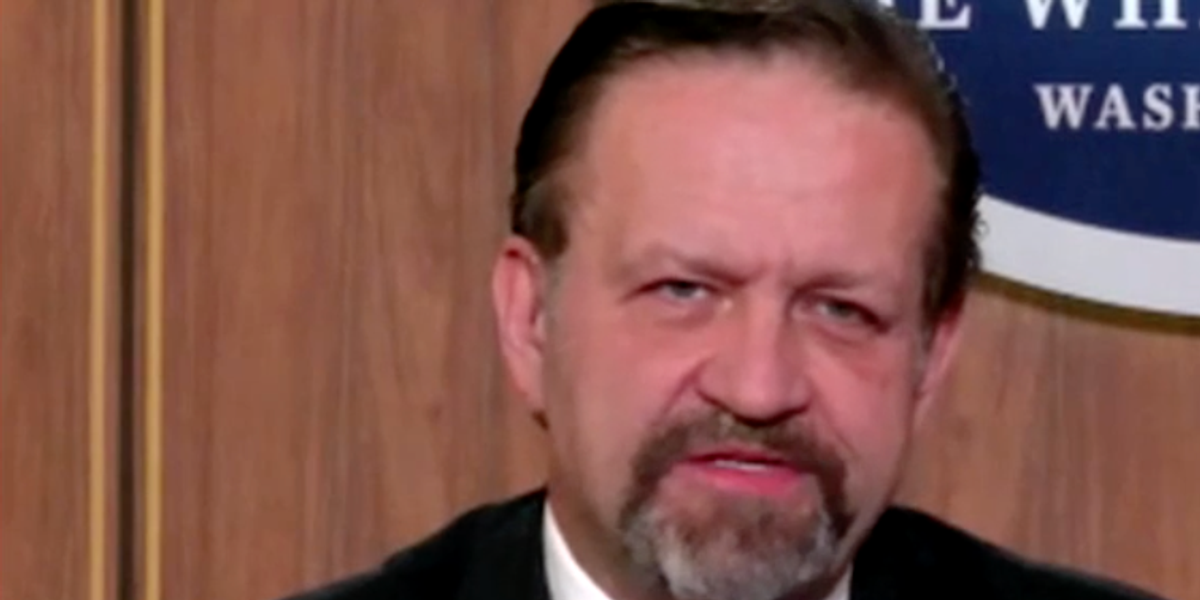 NextImg:White House insider says tariffs for UK are 'favourable' - WATCH
