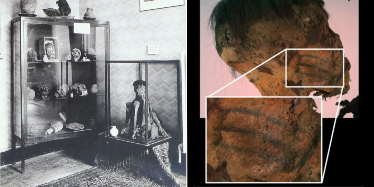 NextImg:Archaeologists uncover never-before-seen facial tattoos on 800-year-old mummy