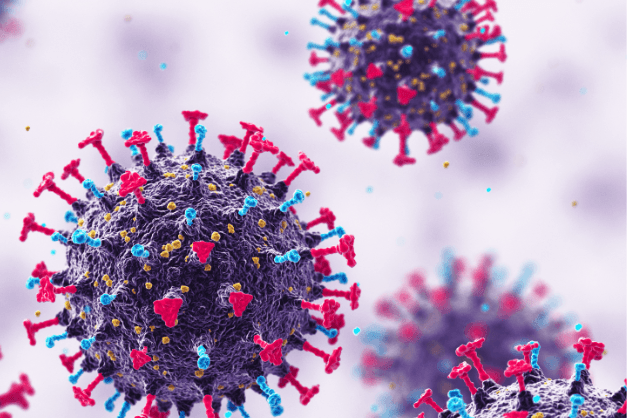Covid vaccines ‘saved far fewer lives than first thought’ Covid vaccines ‘saved far fewer lives than first thought’