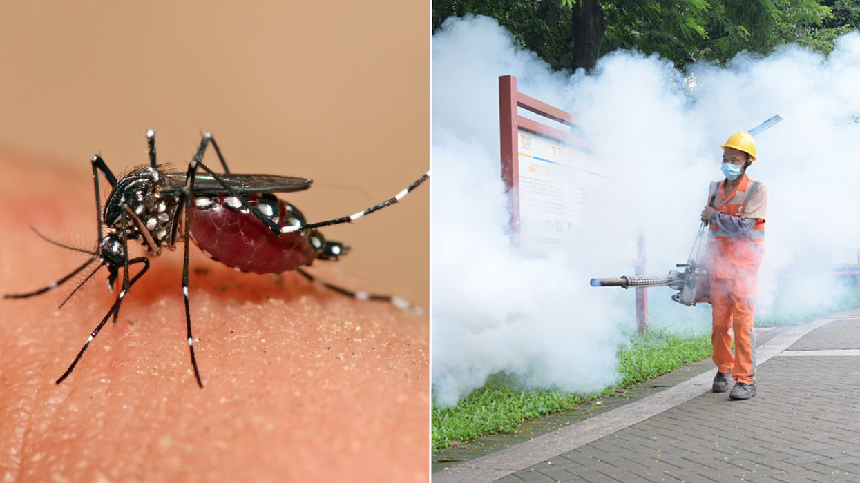 Fears agonising 'China virus' ALREADY spreading to US and tourist hotspots