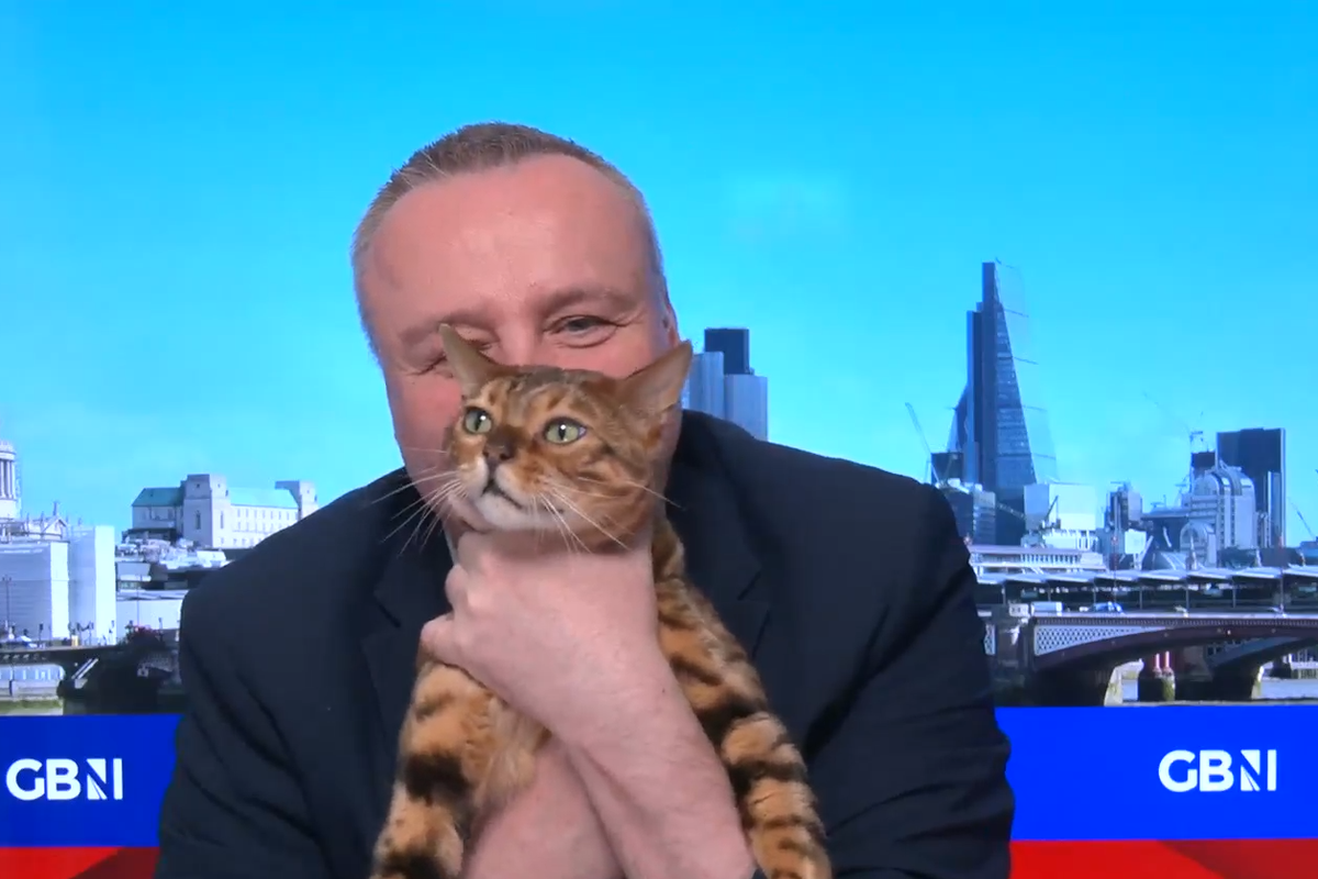 WATCH: Mark White introduces the GB News 'Home and Security Cat' li...