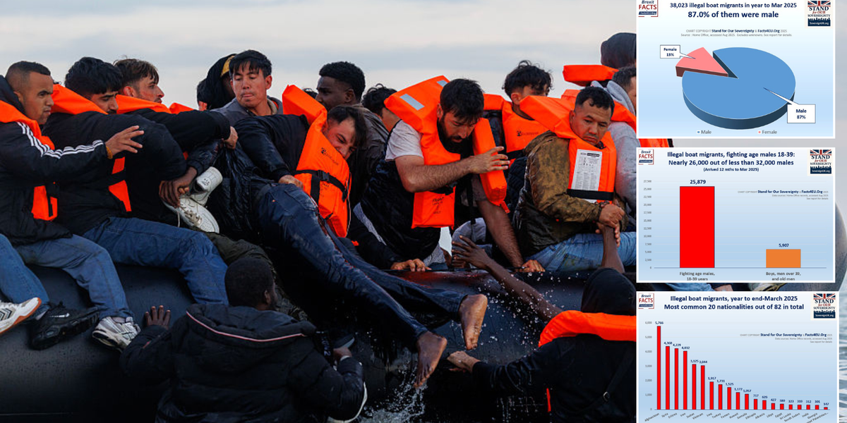 NextImg:Three SHOCK graphs expose who is REALLY crossing the Channel in small boats - and it's NOT women and children