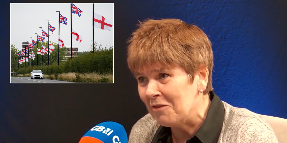 NextImg:Flag campaigns show Britons are 'not embarrassed about being British', says crossbench peer