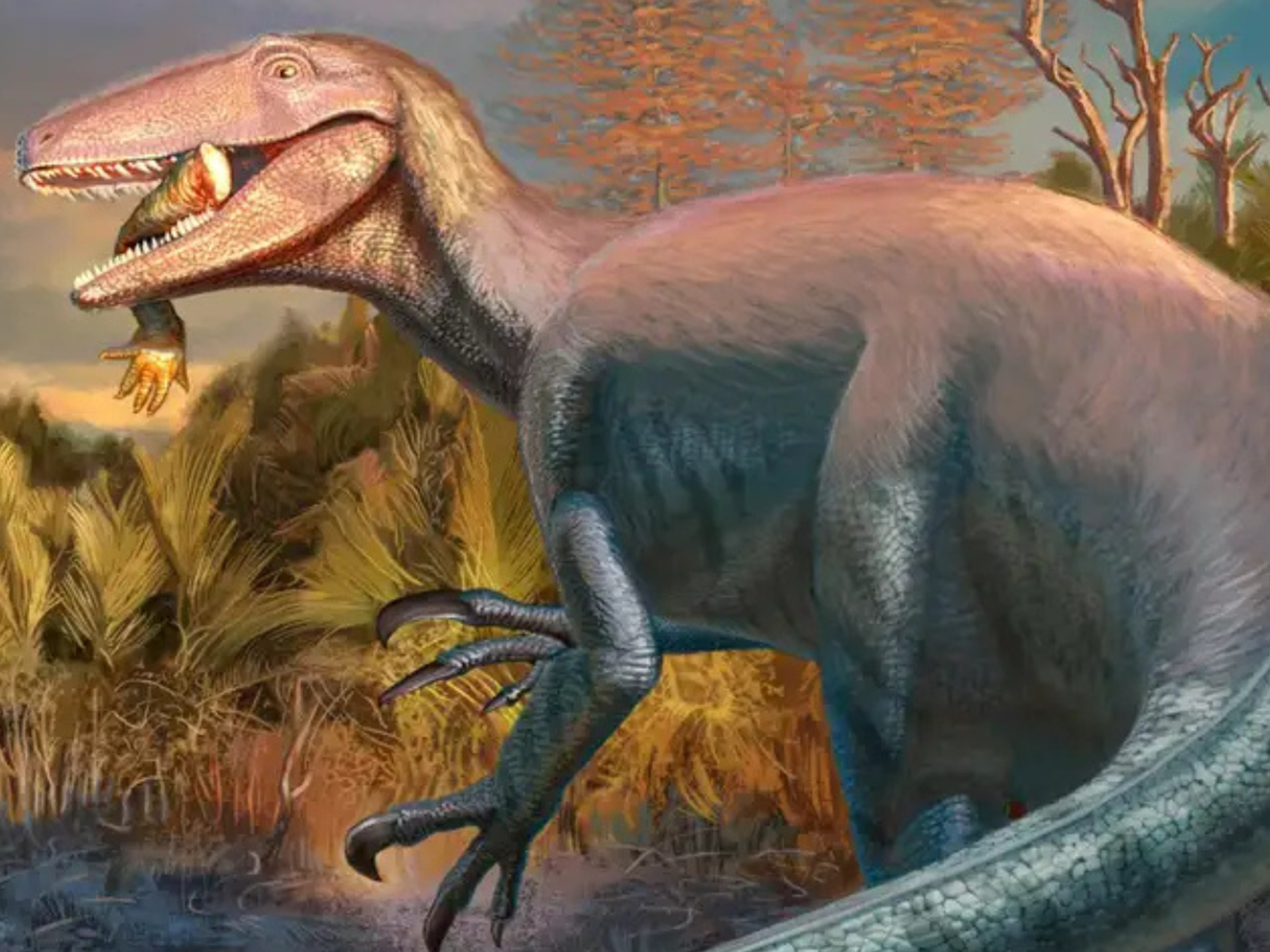 New 'apex predator' dinosaur species discovered with crocodile bones still in its mouth