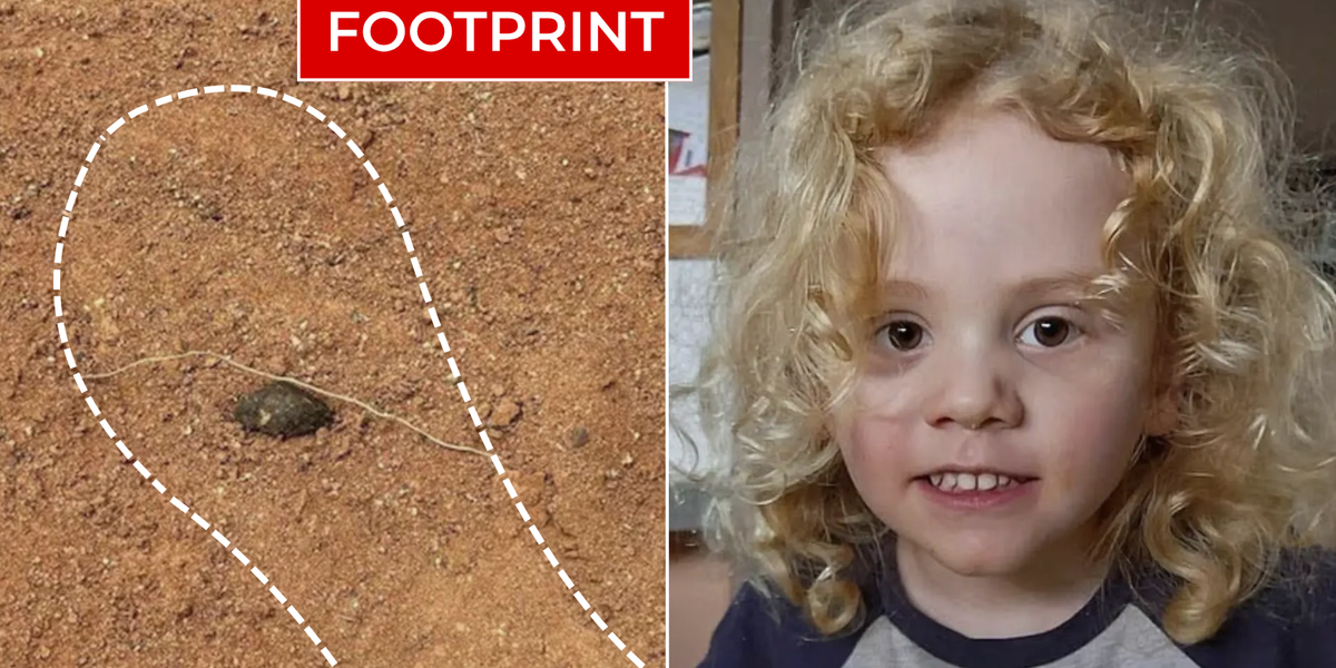 Gus Lamont: Police unable to find single trace of four-year-old boy who went missing from family home after being left alone for half hour