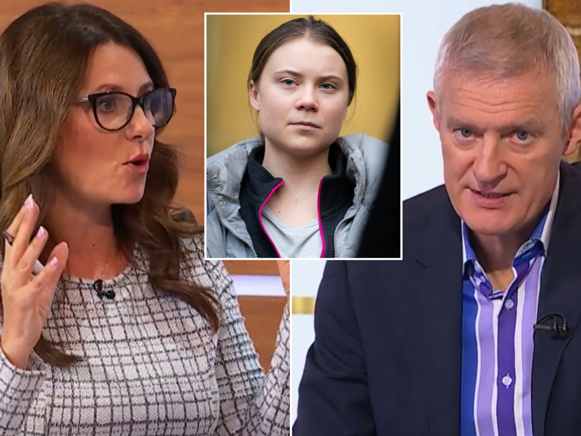 Channel 5 Vine viewers outraged as guest fumes Greta Thunberg 'done more for PEACE' than Donald T...