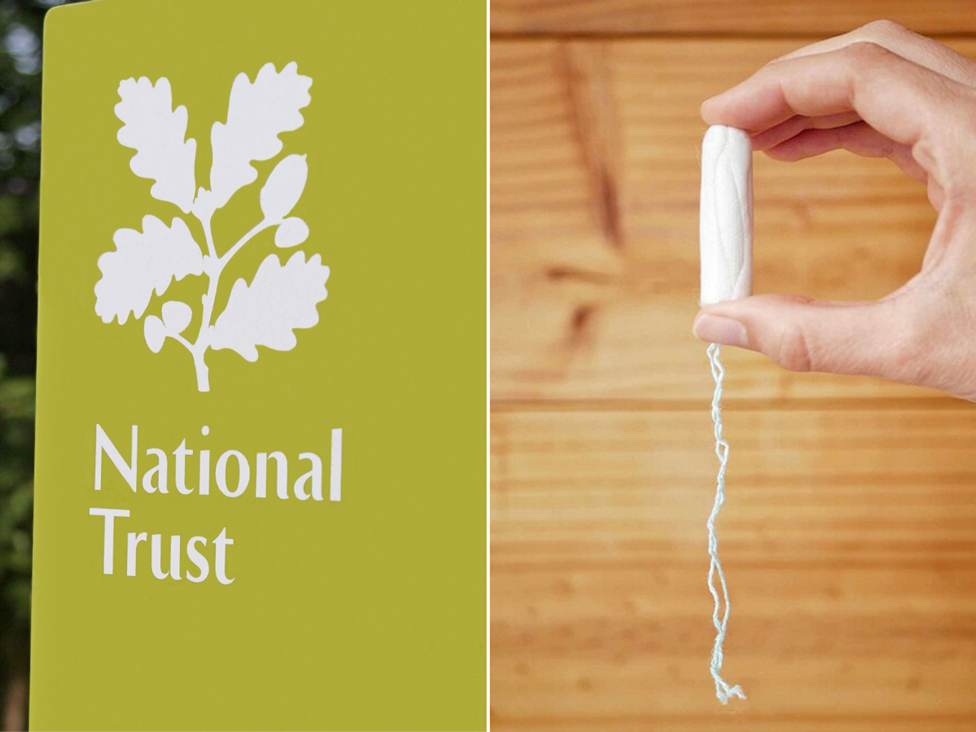 National Trust leave male visitors 'confused' after putting vegan tampons in men's toilets