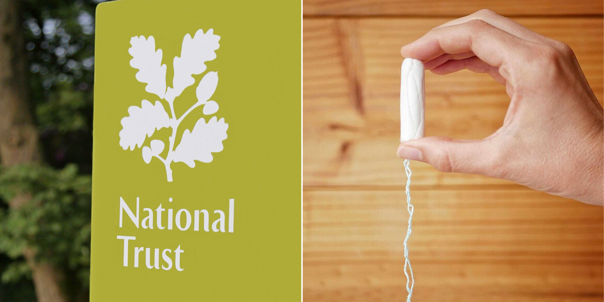 NextImg:National Trust leave male visitors 'confused' after putting vegan tampons in men's toilets