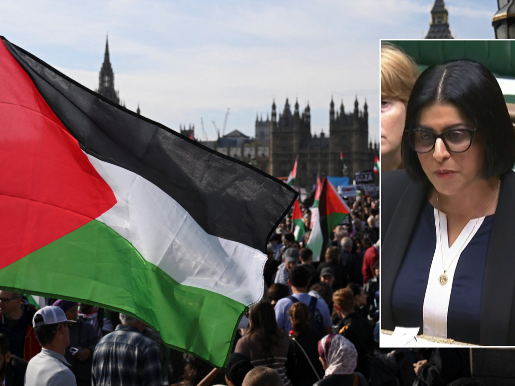 Pro-Palestine protesters DON'T want peace in Middle East, admits Home Secretary
