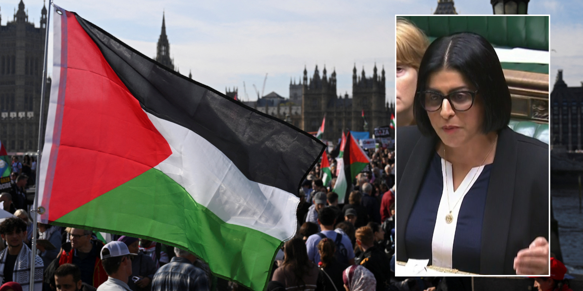 NextImg:Pro-Palestine protesters DON'T want peace in Middle East, admits Home Secretary