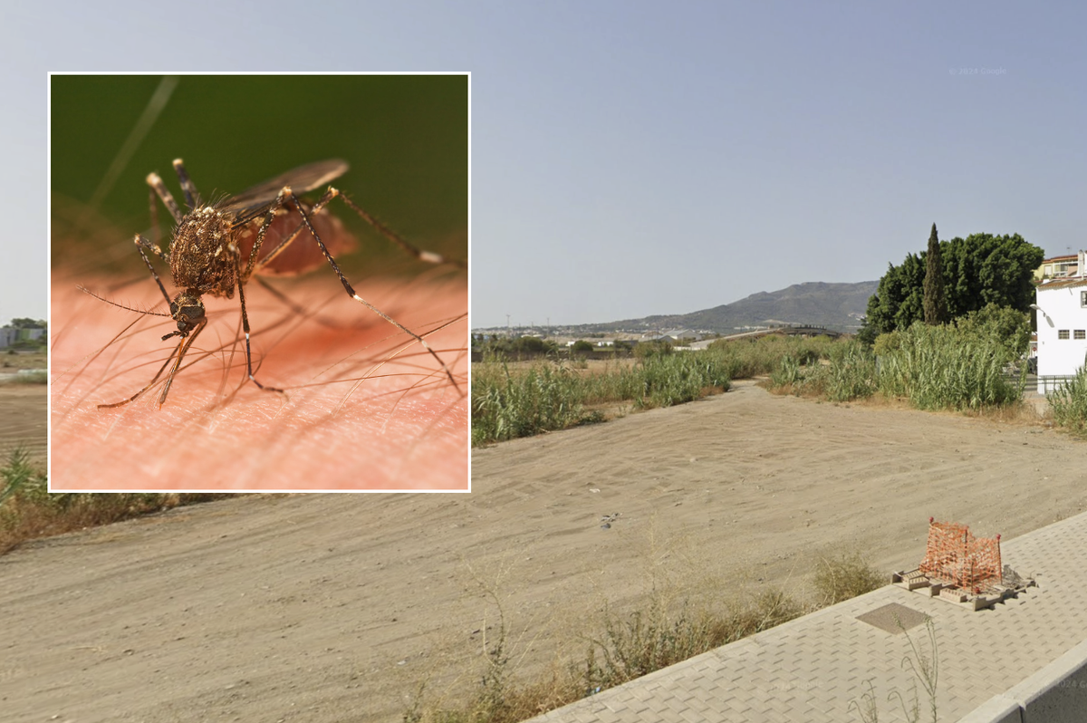 Tourists warned of 'deadly' disease outbreak in Spain holiday hotspot - area placed 'on alert' for WEEKS