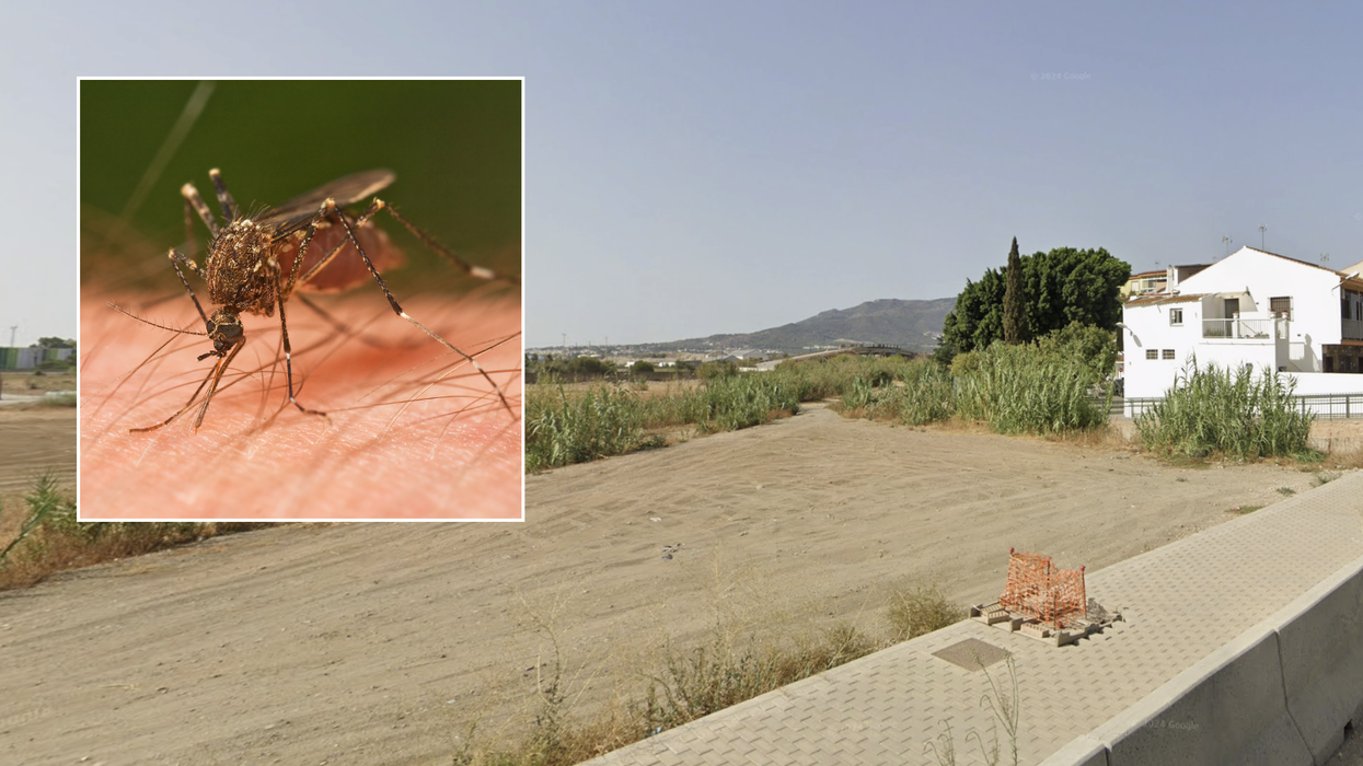 Tourists warned of 'deadly' disease outbreak in Spain holiday hotspot - area placed 'on alert' for WEEKS