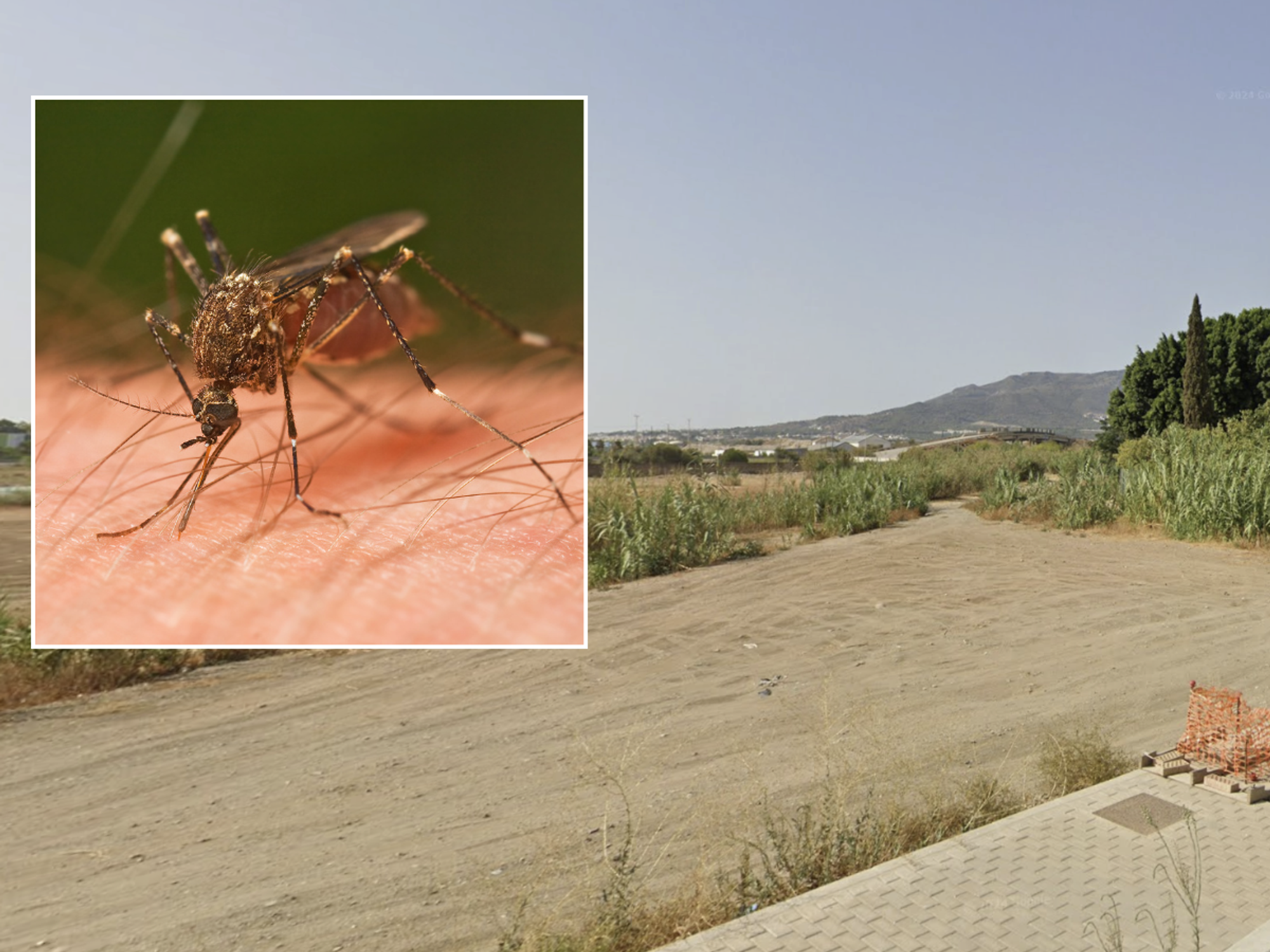 Tourists warned of 'deadly' disease outbreak in Spain holiday hotspot - area placed 'on alert' for WEEKS