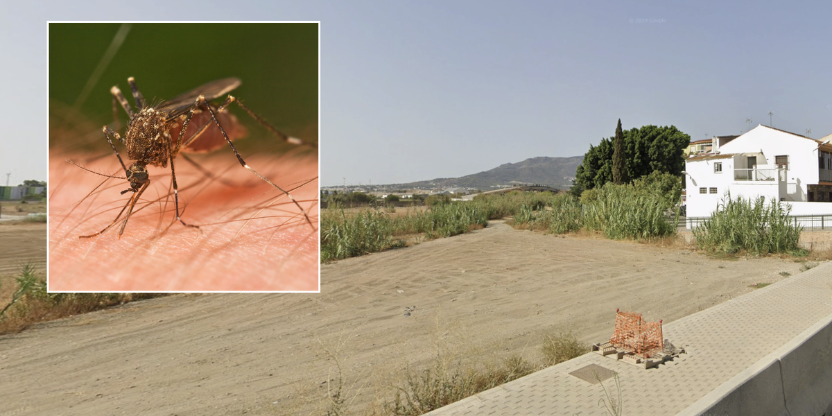 Tourists warned of 'deadly' disease outbreak in Spain holiday hotspot - area placed 'on alert' for WEEKS