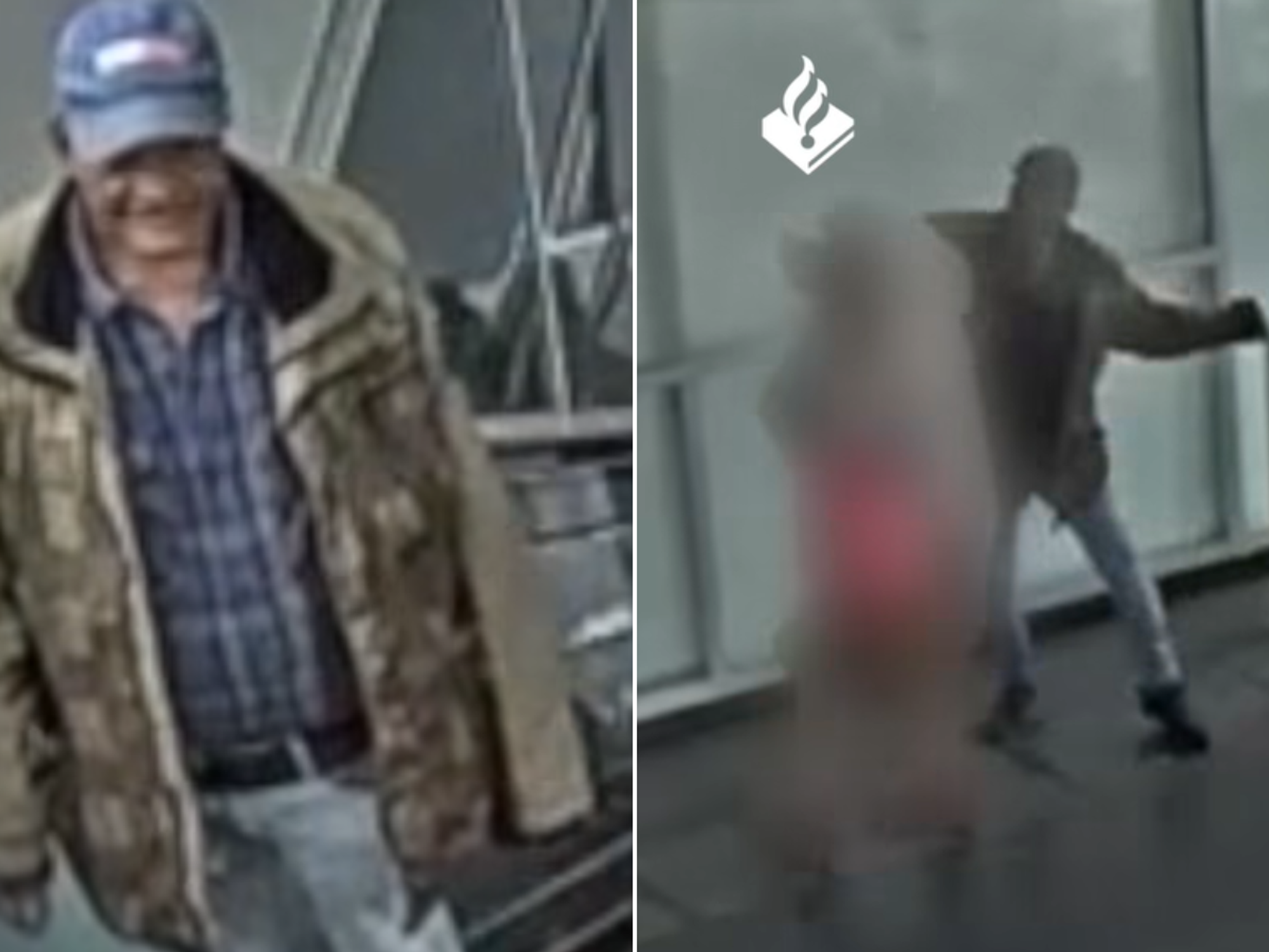 Pensioner, 82, beaten unconscious after trying to stop fare-dodger barging through barriers behind her