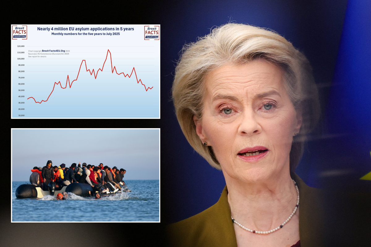 EXPOSED: Graphs reveal reason illegal migration to the UK is unlikely to fall any time soon