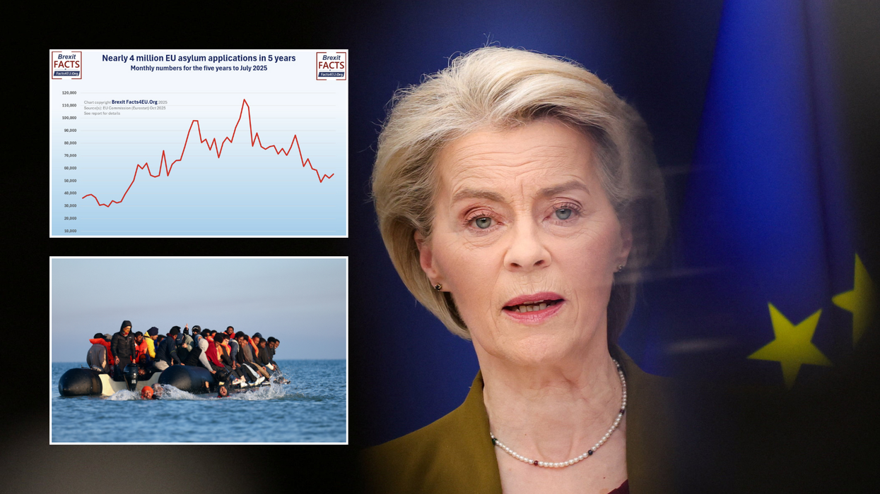 EXPOSED: Graphs reveal reason illegal migration to the UK is unlikely to fall any time soon