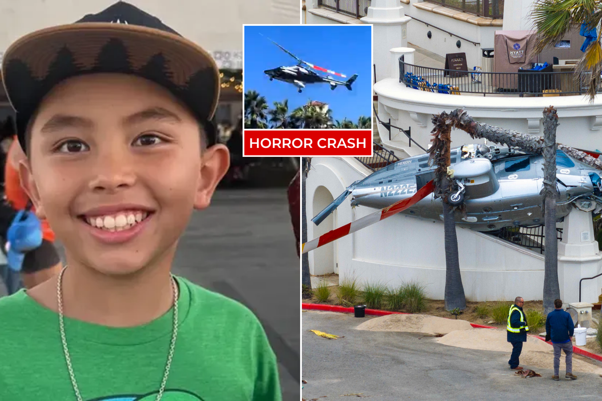Schoolboy, 11, crushed by helicopter that smashed into ground at world-famous US landmark