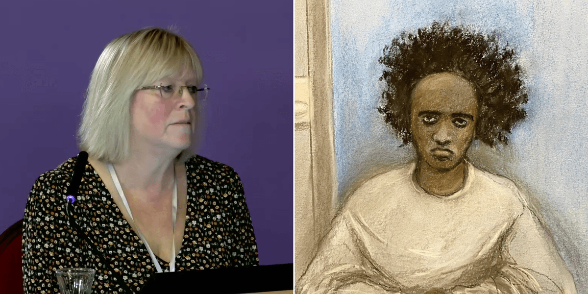 Axel Rudakubana’s headteacher was ‘shut up’ by mental health workers who accused her of ‘racially profiling a black boy with a knife’ Axel Rudakubana’s headteacher was ‘shut up’ by mental health workers who accused her of ‘racially profiling a black boy with a knife’