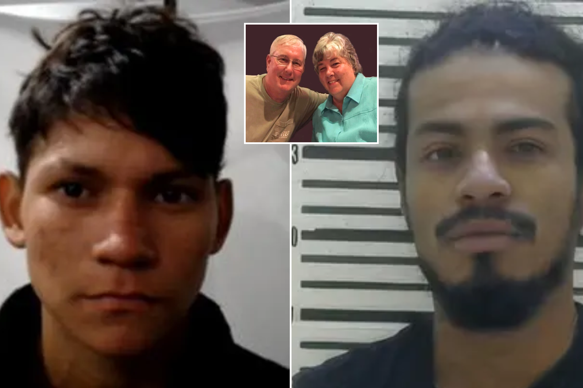 Two illegal migrants charged after councillor and his wife killed in horror car crash