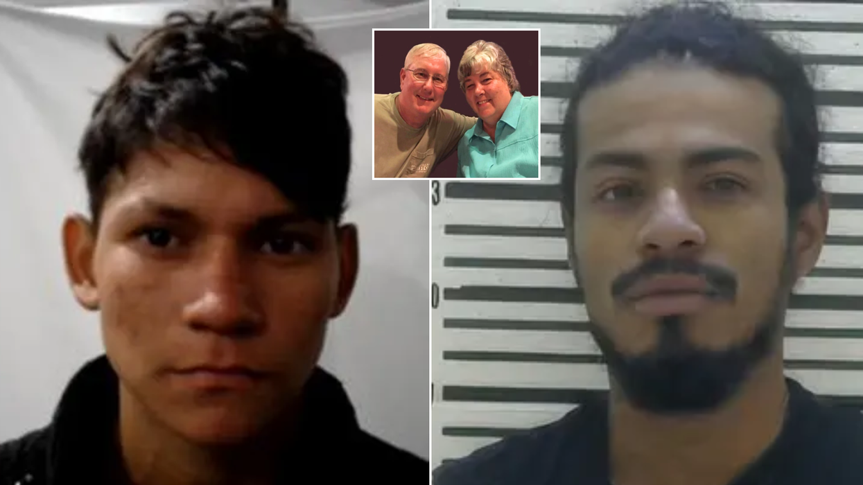 Two illegal migrants charged after councillor and his wife killed in horror car crash