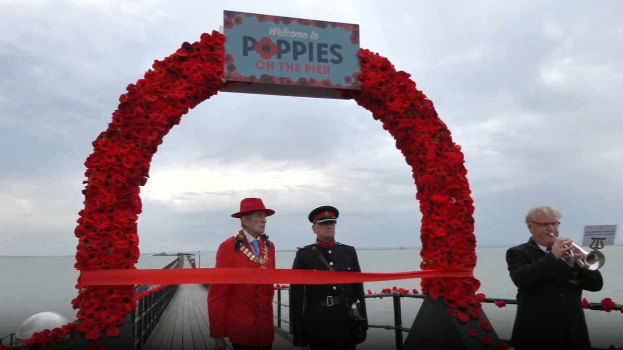 Britain's largest poppy installation unveiled as over 110,000 put on display