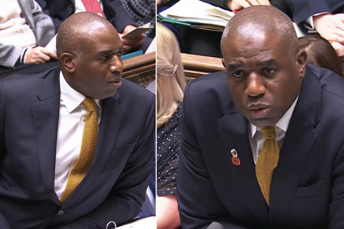 David Lammy branded 'disgraceful' after forgetting poppy in first PMQs