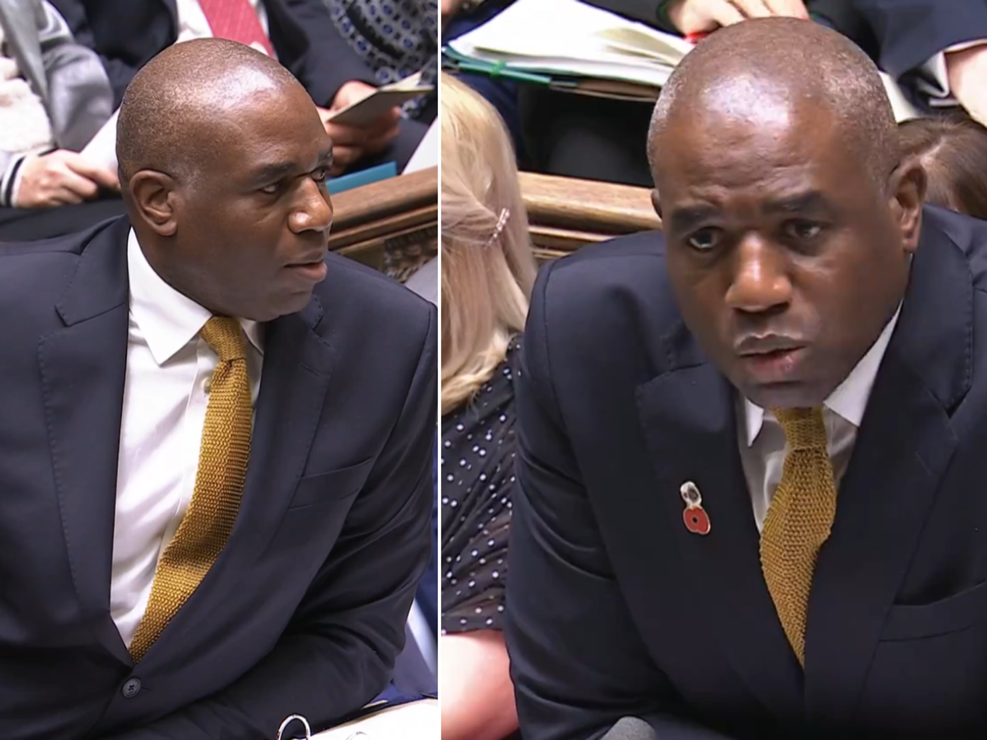 David Lammy in embarrassing cock-up after he’s caught without poppy in PMQs before hastily taking...