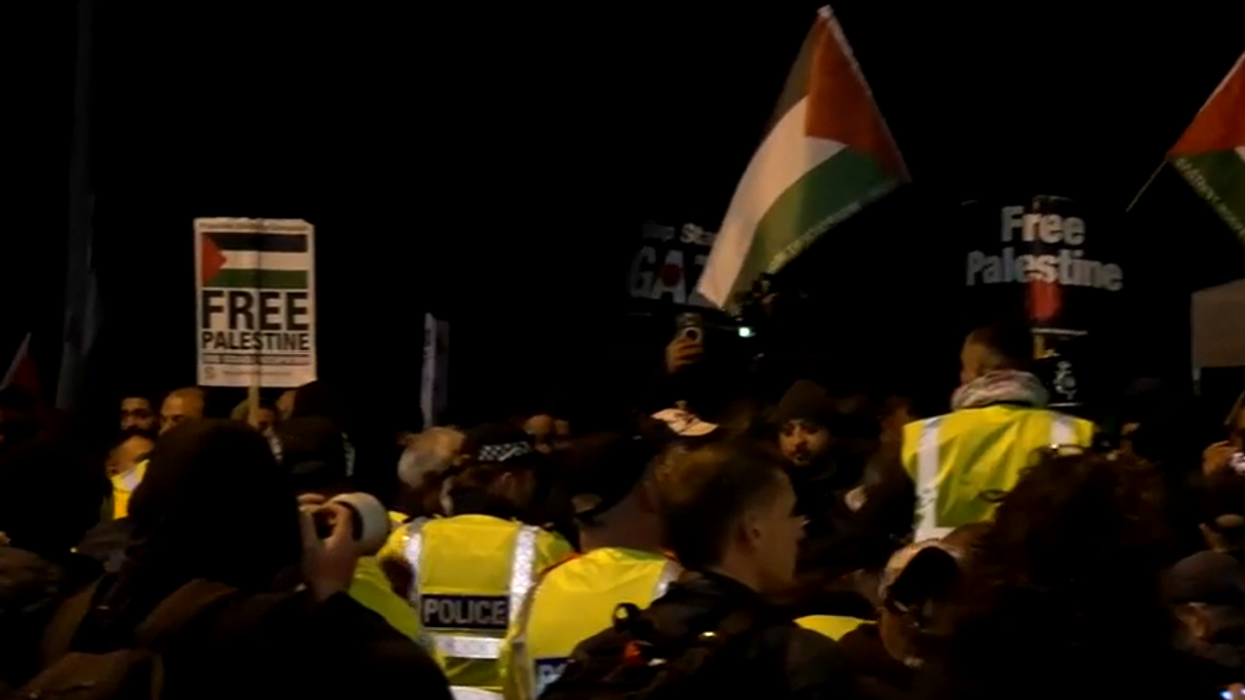 WATCH: Protests erupt in Villa Park ahead of Ma...