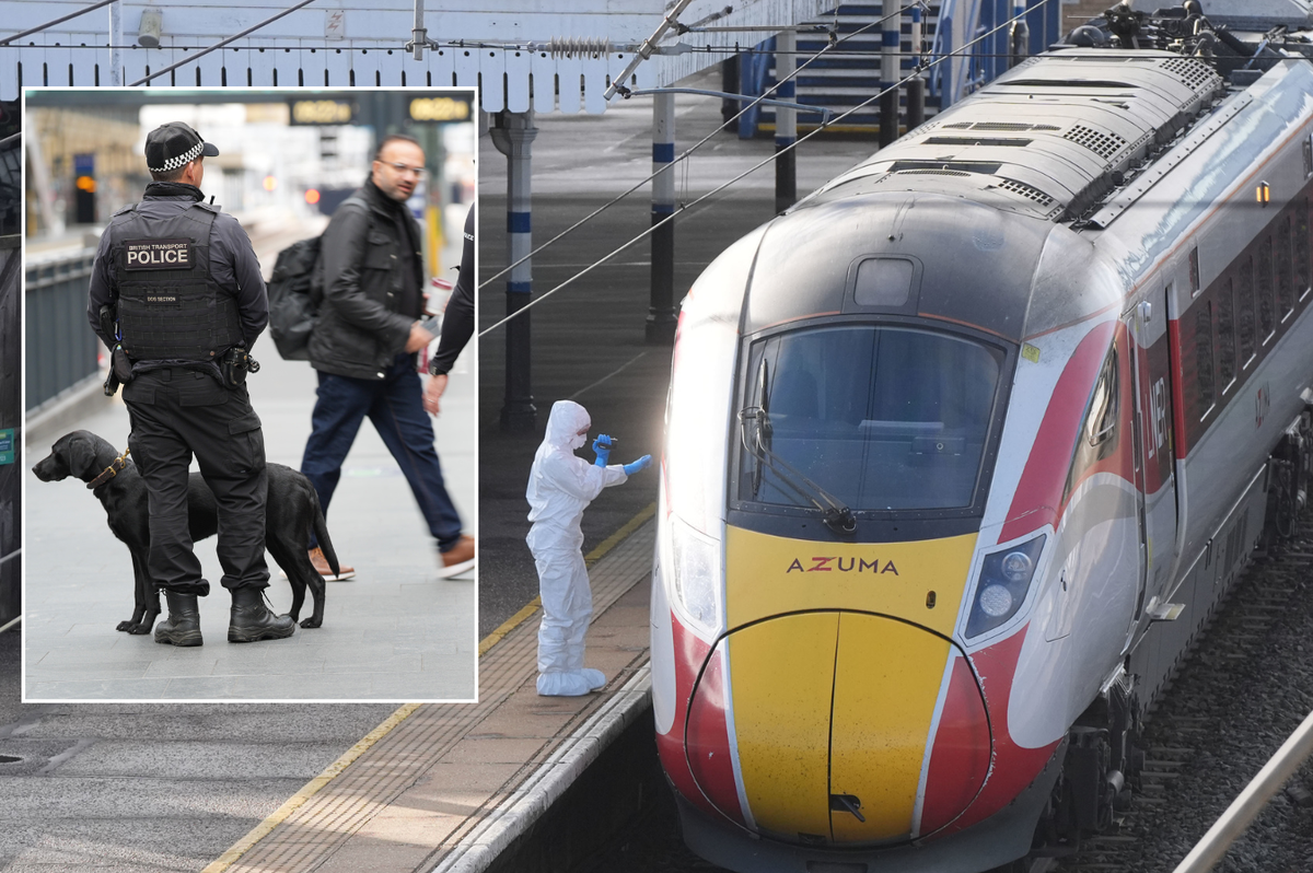 Britain's 'lawless' rail networks under threat as police warned security cuts have 'gone too far'