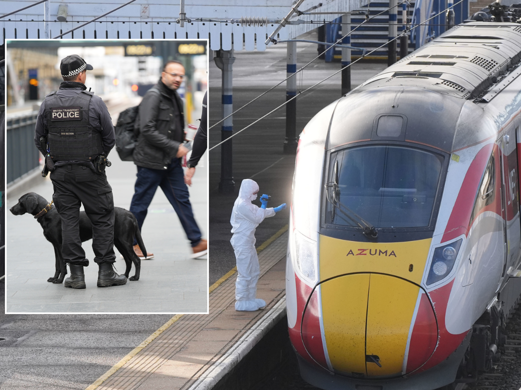 Britain's 'lawless' rail networks under threat as police warned security cuts have 'gone too far'